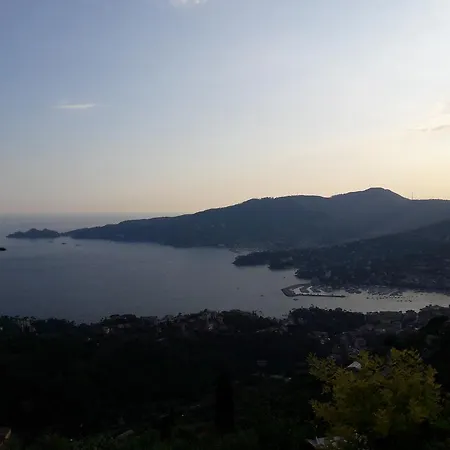 Fronte Zoagli